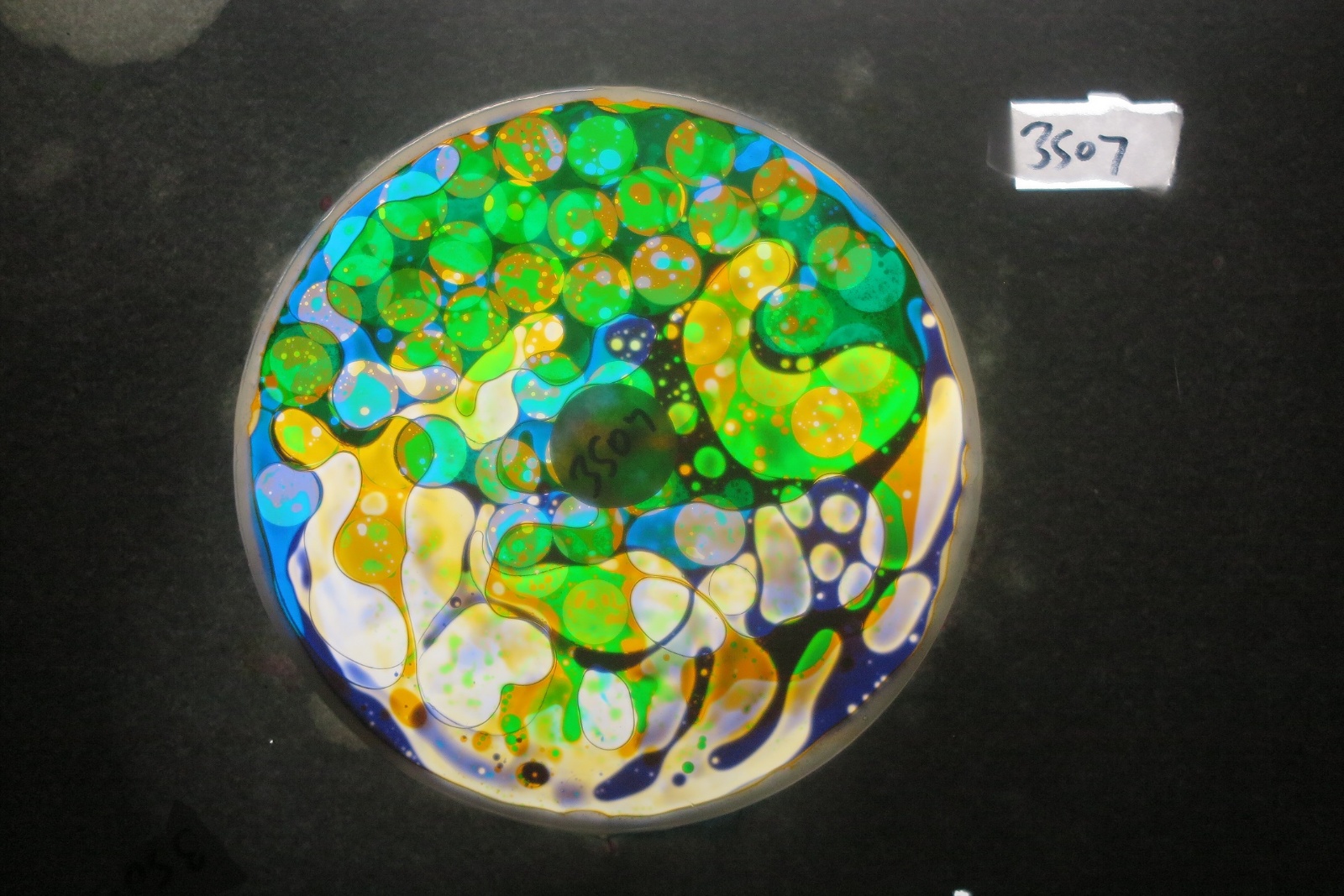 BV3507 bubble vision oil wheel